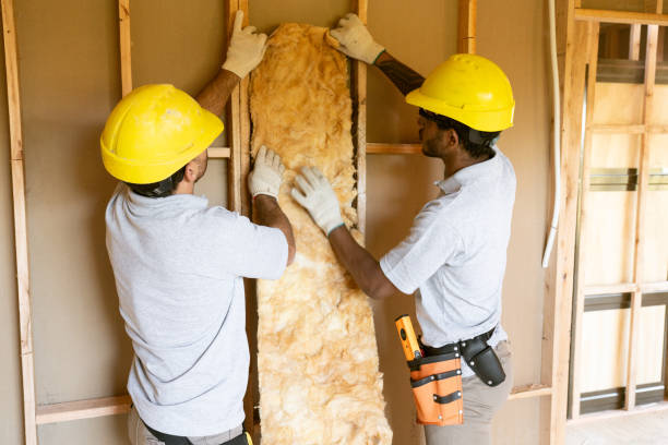 Best Spray Foam Insulation  in Locust Grove, OK